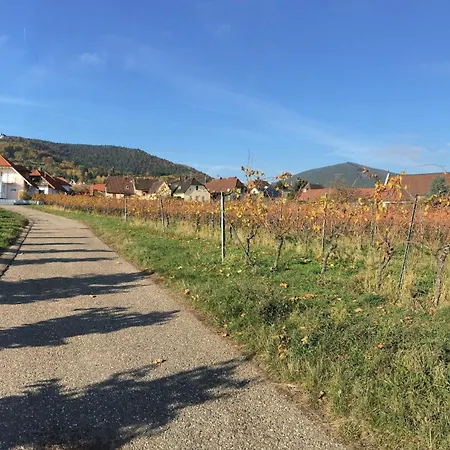 Suedpfalzblick 公寓