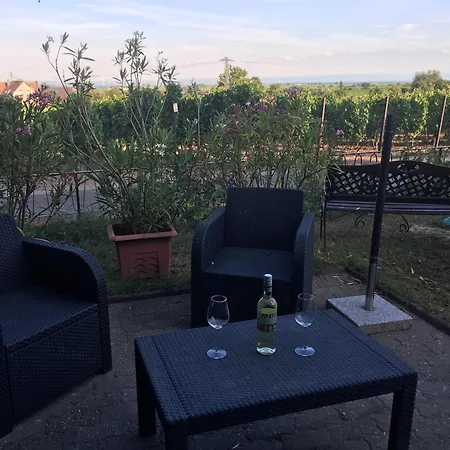 公寓 Suedpfalzblick