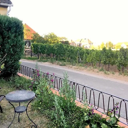 公寓 Suedpfalzblick 布尔韦勒