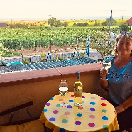 Suedpfalzblick * 布尔韦勒