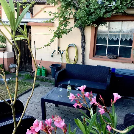 公寓 Suedpfalzblick *