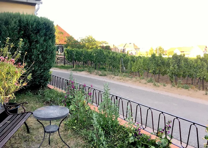 Apartamento Südpfalzblick Burrweiler